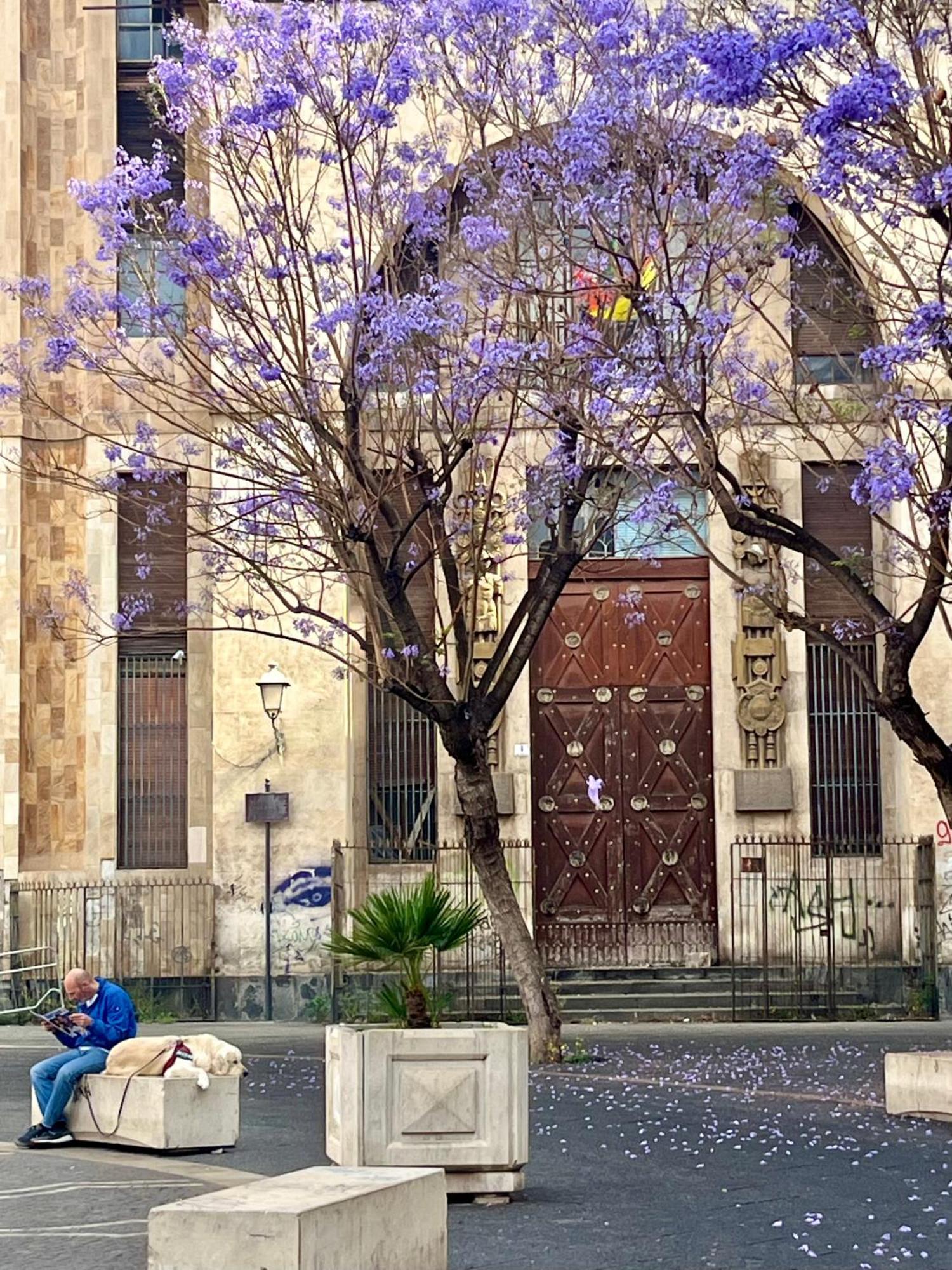 Happy Home Catania Exterior photo